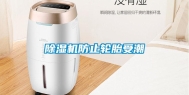 除湿机防止轮胎受潮