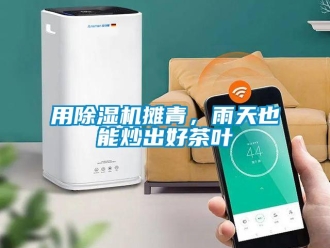 知识百科用除湿机摊青，雨天也能炒出好茶叶