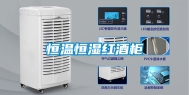 恒温恒湿红酒柜