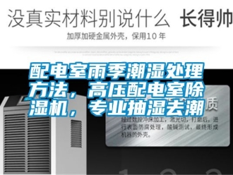 行业新闻配电室雨季潮湿处理方法，高压配电室除湿机，专业抽湿去潮