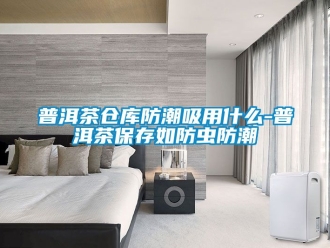 常见问题普洱茶仓库防潮吸用什么-普洱茶保存如防虫防潮
