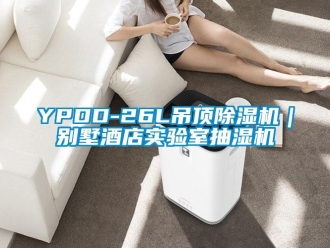 企业新闻YPDD-26L吊顶除湿机｜别墅酒店实验室抽湿机