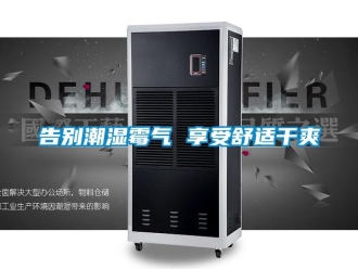 企业新闻告别潮湿霉气 享受舒适干爽